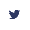 icon-twitter